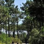 Holiday home Maison De Ideale: Proche Mer, Golf Et Thalasso, Jardin Privatif, 6 Pers, Parking Inclus - Fr-1-323-364 *