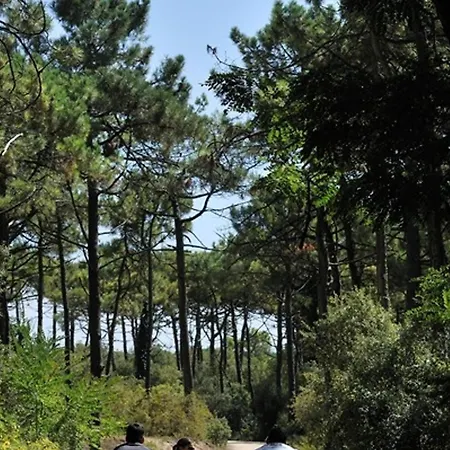 Casa de Férias Maison De Ideale: Proche Mer, Golf Et Thalasso, Jardin Privatif, 6 Pers, Parking Inclus - Fr-1-323-364 *