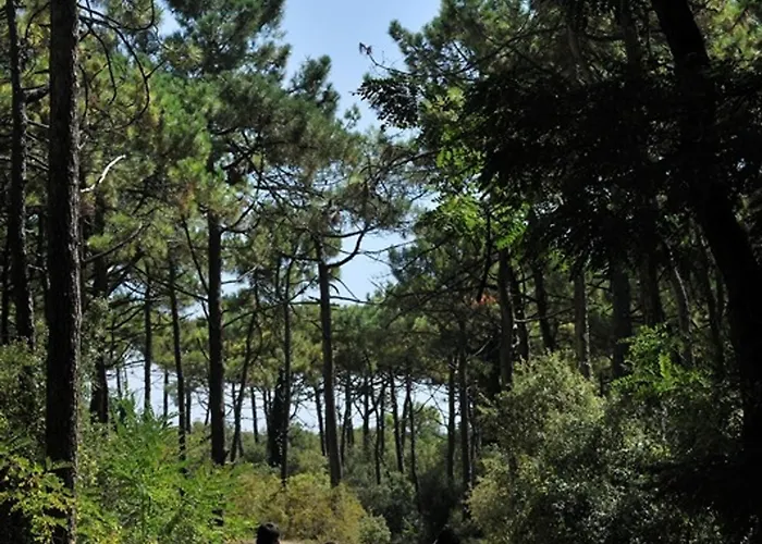 펜션 Maison De Ideale: Proche Mer, Golf Et Thalasso, Jardin Privatif, 6 Pers, Parking Inclus - Fr-1-323-364 *